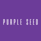 Purple Seed Creative Solutions
