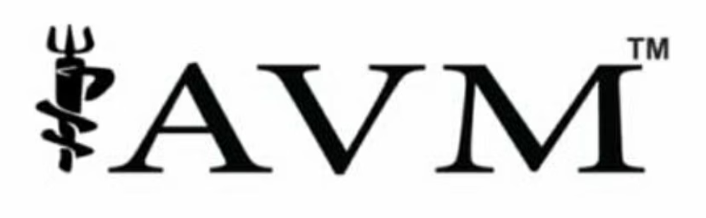 AVM Healthcare