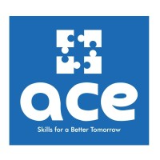 Ace Skill Development Pvt. Ltd.