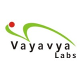 Vayavya Labs Pvt. Ltd.