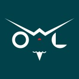 The Brand Owl Studio