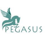 Pegasus Assets Reconstruction Pvt. Ltd.