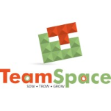 TeamSpace Financial Services Pvt. Ltd.