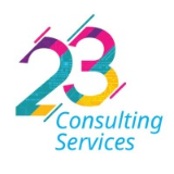 23 Consulting Services