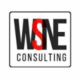 WSNE Consulting