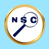 NetSysCon Consulting LLP