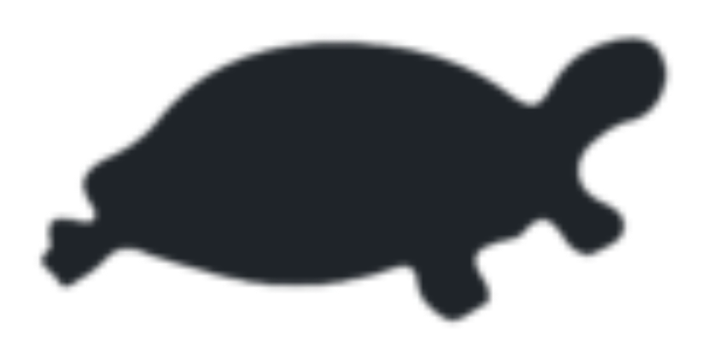 BLACK TURTLE INDIA PRIVATE LIMITED