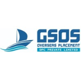GSOS OVERSEAS PLACEMENT OPC PVT LTD