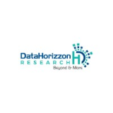 DataHorizzon Research