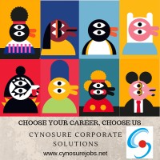 Cynosure Corporate Solutions