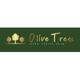 Olive Trees Consulting