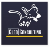 Cleo Consulting, Inc.