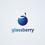The Glassberry IT Solutions Pvt. Ltd.