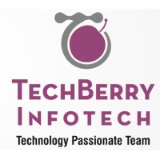 Techberry Infotech Pvt. Ltd.