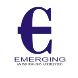 Emerging Consultancy Services India